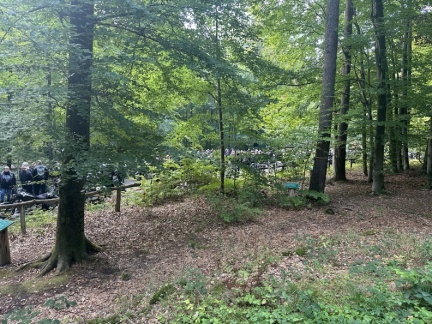 IMG 0028